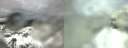 ./images/calvert/hecate/20200224/hecate20200224_081006.jpg