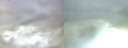 ./images/calvert/hecate/20200309/hecate20200309_074003.jpg