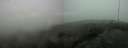 ./images/calvert/hecate/20200524/hecate20200524_153517.jpg