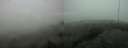 ./images/calvert/hecate/20200524/hecate20200524_180517.jpg