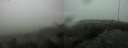 ./images/calvert/hecate/20200604/hecate20200604_065515.jpg