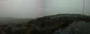 ./images/calvert/hecate/20200615/hecate20200615_155013.jpg