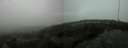 ./images/calvert/hecate/20200821/hecate20200821_122014.jpg