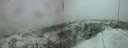 ./images/calvert/hecate/20210214/hecate20210214_080017.jpg