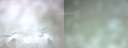 ./images/calvert/hecate/20210301/hecate20210301_071515.jpg