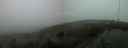 ./images/calvert/hecate/20210605/hecate20210605_221013.jpg