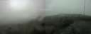 ./images/calvert/hecate/20210614/hecate20210614_131014.jpg
