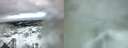 ./images/calvert/hecate/20220323/hecate20220323_070513.jpg