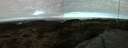 ./images/calvert/hecate/20220430/hecate20220430_085013.jpg
