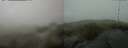 ./images/calvert/hecate/20250513/hecate20250513_143510M.jpg