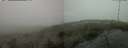 ./images/calvert/hecate/20250520/hecate20250520_145510M.jpg