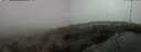./images/calvert/hecate/20250525/hecate20250525_095510M.jpg