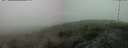 ./images/calvert/hecate/20250531/hecate20250531_102509M.jpg