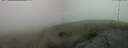 ./images/calvert/hecate/20250603/hecate20250603_182509M.jpg