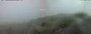 ./images/calvert/hecate/20250604/hecate20250604_043508M.jpg