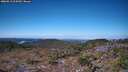 ./images/calvert/hecate/20260913/hecate20260913_104501M.jpg