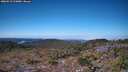 ./images/calvert/hecate/20260913/hecate20260913_105001M.jpg
