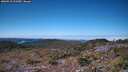 ./images/calvert/hecate/20260913/hecate20260913_113501M.jpg