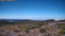 ./images/calvert/hecate/20260913/hecate20260913_114002M.jpg