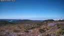./images/calvert/hecate/20260913/hecate20260913_115501M.jpg