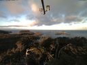 ./images/calvert/lookout/20210310/lookout20210310_072501.jpg