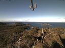 ./images/calvert/lookout/20210310/lookout20210310_093501.jpg