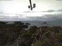 ./images/calvert/lookout/20210311/lookout20210311_101002.jpg