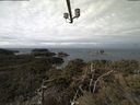 ./images/calvert/lookout/20210311/lookout20210311_104502.jpg