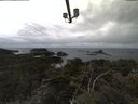 ./images/calvert/lookout/20210311/lookout20210311_134501.jpg