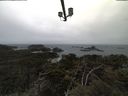 ./images/calvert/lookout/20210311/lookout20210311_152501.jpg