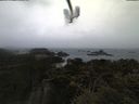 ./images/calvert/lookout/20210311/lookout20210311_180002.jpg