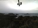 ./images/calvert/lookout/20210312/lookout20210312_091002.jpg