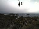 ./images/calvert/lookout/20210312/lookout20210312_100002.jpg