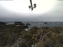 ./images/calvert/lookout/20210312/lookout20210312_102001.jpg