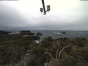 ./images/calvert/lookout/20210312/lookout20210312_102501.jpg