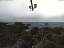 ./images/calvert/lookout/20210312/lookout20210312_103501.jpg