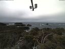./images/calvert/lookout/20210312/lookout20210312_104501.jpg