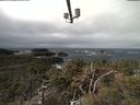 ./images/calvert/lookout/20210312/lookout20210312_110501.jpg