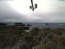./images/calvert/lookout/20210312/lookout20210312_111001.jpg