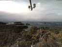 ./images/calvert/lookout/20210312/lookout20210312_115502.jpg
