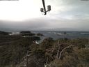 ./images/calvert/lookout/20210312/lookout20210312_120502.jpg