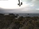 ./images/calvert/lookout/20210312/lookout20210312_121502.jpg