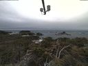 ./images/calvert/lookout/20210312/lookout20210312_160002.jpg