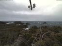 ./images/calvert/lookout/20210313/lookout20210313_095002.jpg