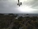 ./images/calvert/lookout/20210313/lookout20210313_100001.jpg