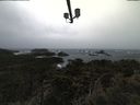 ./images/calvert/lookout/20210313/lookout20210313_102501.jpg
