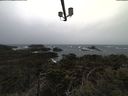 ./images/calvert/lookout/20210313/lookout20210313_110501.jpg
