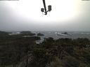 ./images/calvert/lookout/20210313/lookout20210313_120501.jpg