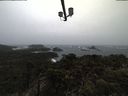 ./images/calvert/lookout/20210313/lookout20210313_145501.jpg