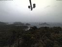 ./images/calvert/lookout/20210313/lookout20210313_174502.jpg